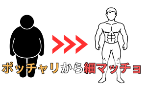 ポッチャリから細マッチョ